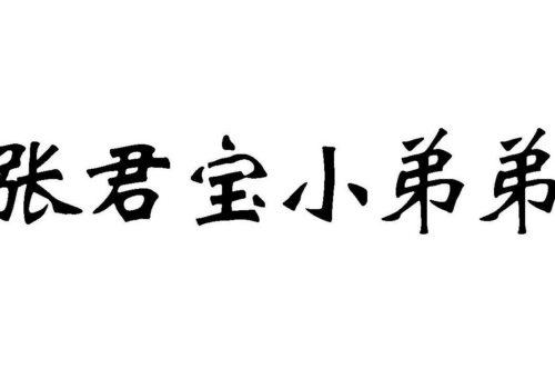 如果给张君宝小弟弟商标写5条广告语,张君宝小弟弟广告语适合哪些行业？