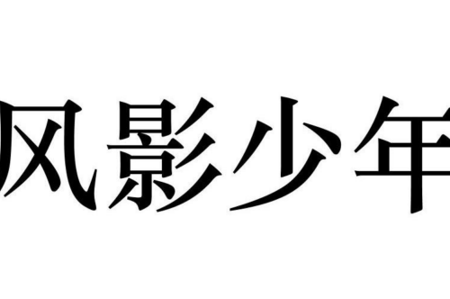 如果给风影少年商标写5条广告语,风影少年广告语适合哪些行业？